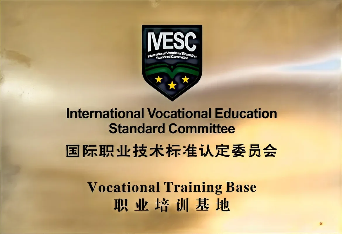 国际职业技术标准认定委员会
